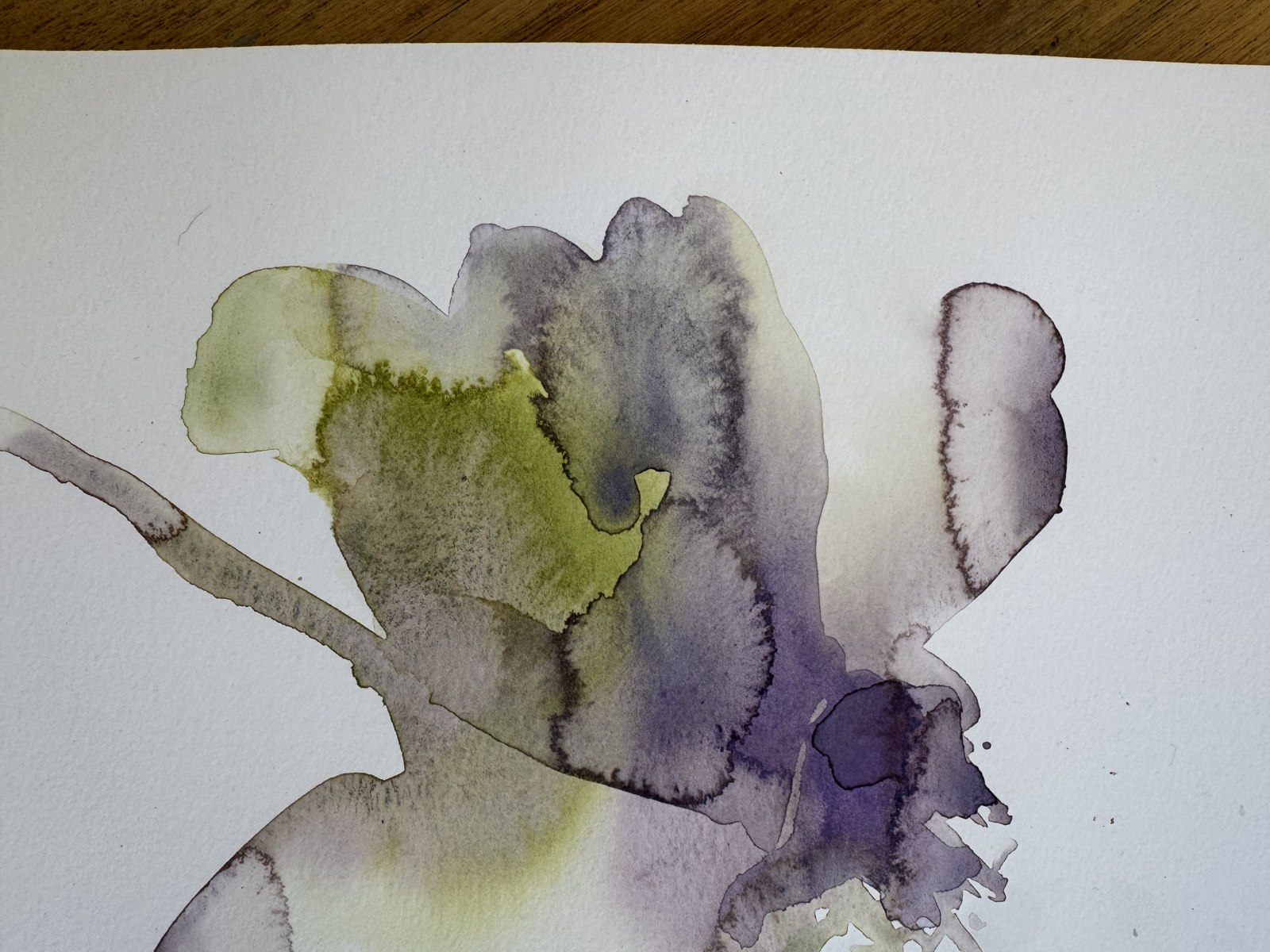 Close detail of a violet and green watercolour on paper by Brenda Rodríguez