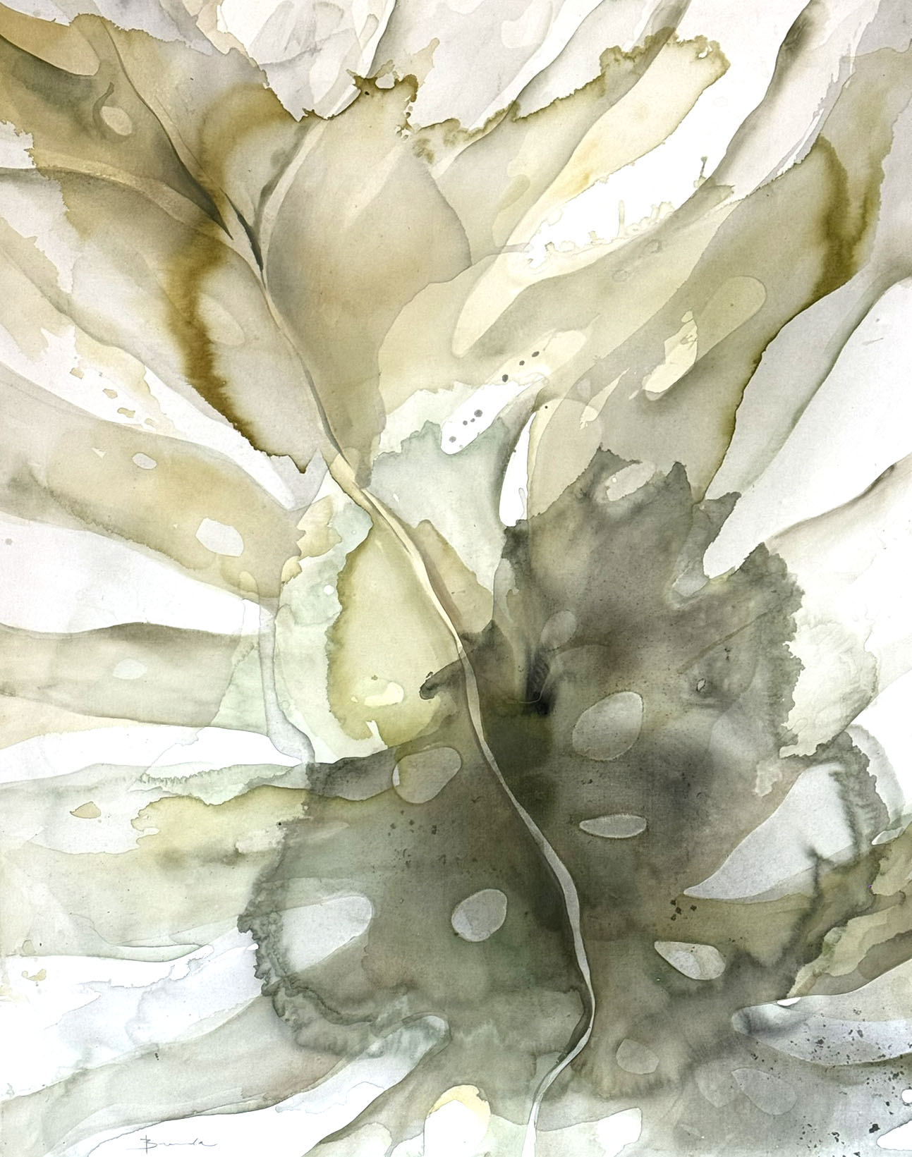 Abstract botanical form in olive, grey and cream watercolour — Savia by Brenda Rodríguez